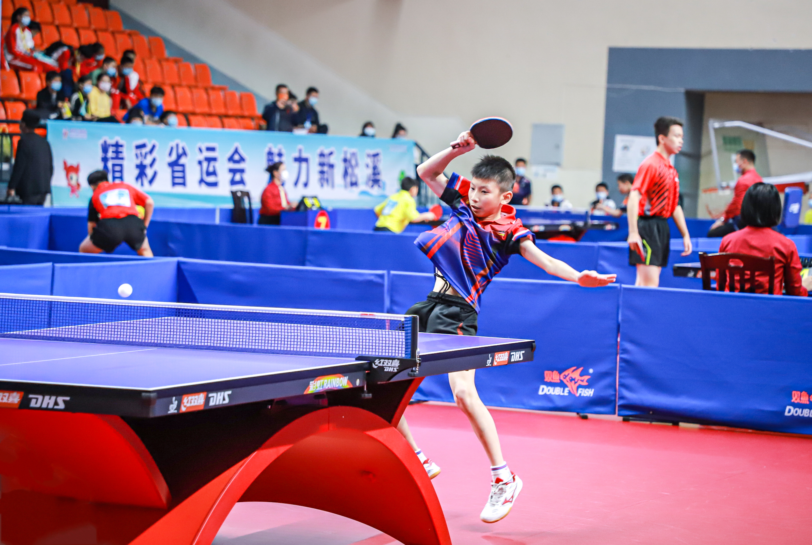 的主场比赛 的主场比赛