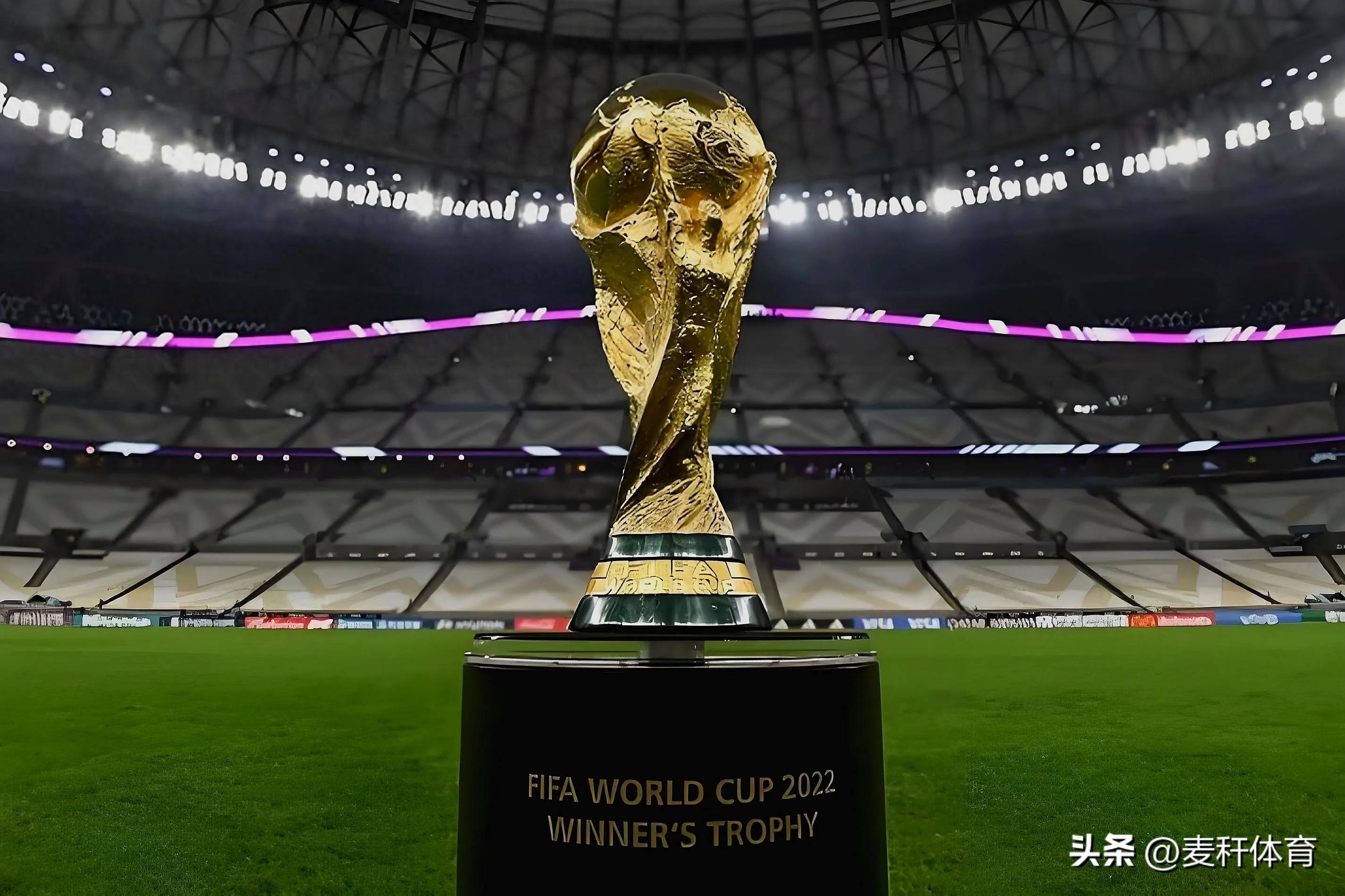 科学的临场 科学的临场